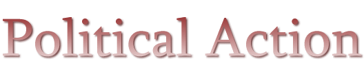 Political Action